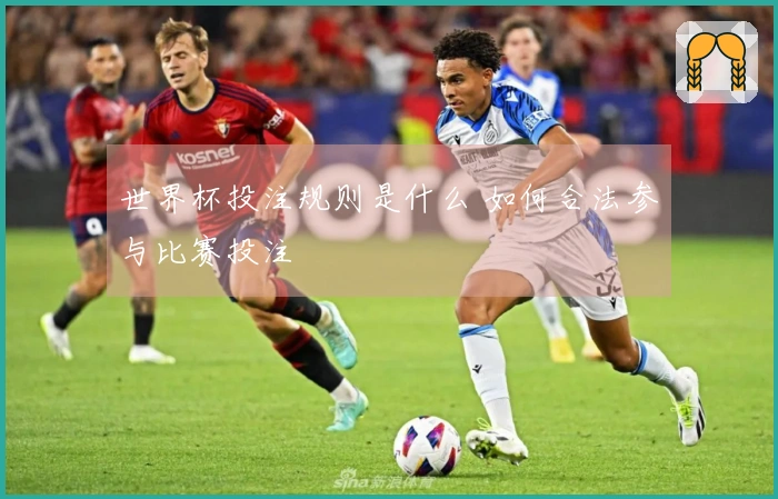 世界杯投注规则是什么 如何合法参与比赛投注