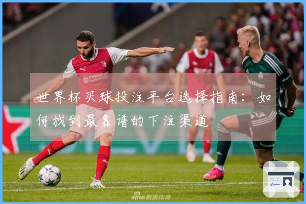 世界杯买球投注平台选择指南：如何找到最靠谱的下注渠道