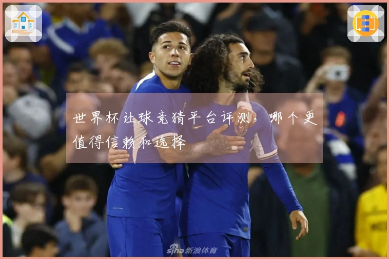 世界杯让球竞猜平台评测，哪个更值得信赖和选择