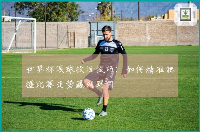 世界杯滚球投注技巧：如何精准把握比赛走势赢利窍门