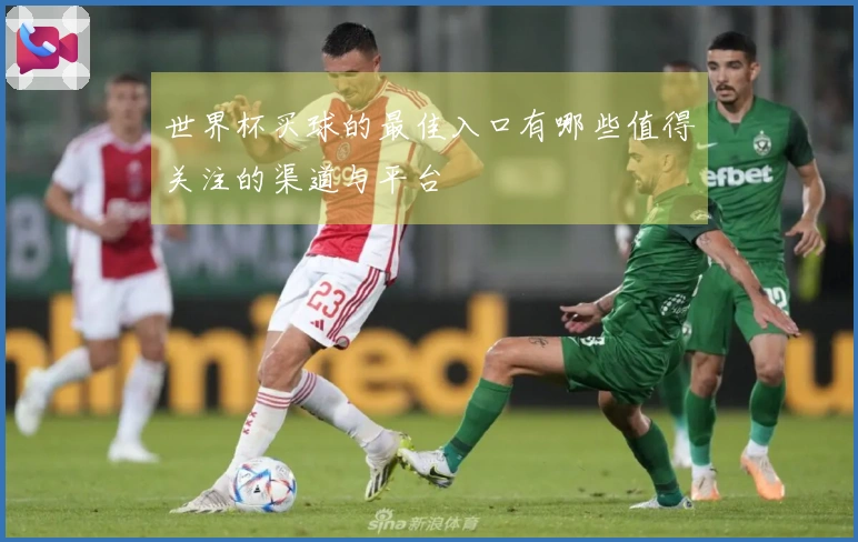 世界杯买球的最佳入口有哪些值得关注的渠道与平台