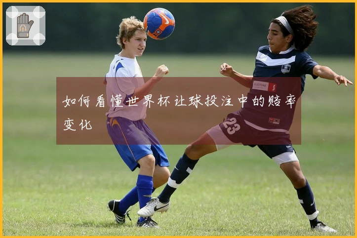 如何看懂世界杯让球投注中的赔率变化