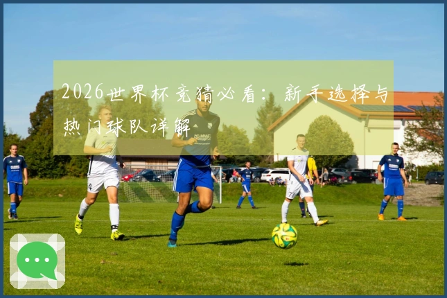 2026世界杯竞猜必看：新手选择与热门球队详解